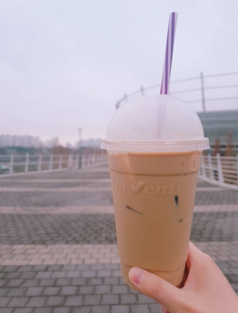 [잡담] 아침 산책 하고 있음 | 인스티즈