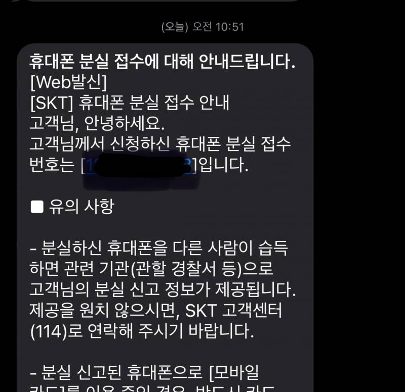 [잡담] 휴대폰 분실신고 안 했는데 분실신고접수문자왔어 뭐지? | 인스티즈