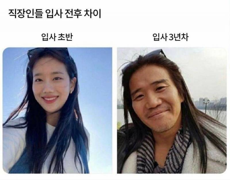 [잡담] 작장인 짤 | 인스티즈