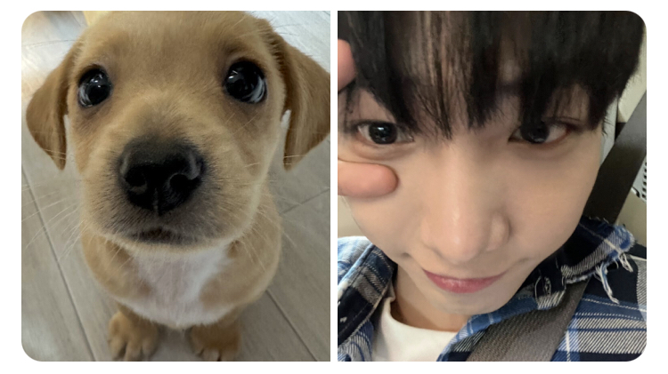 [잡담] 명재현 이거봐줘ㅋㅋㅋㅋㅋㅜㅜㅜㅜ | 인스티즈