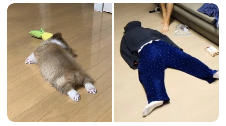 [잡담] 명재현 이거봐줘ㅋㅋㅋㅋㅋㅜㅜㅜㅜ | 인스티즈