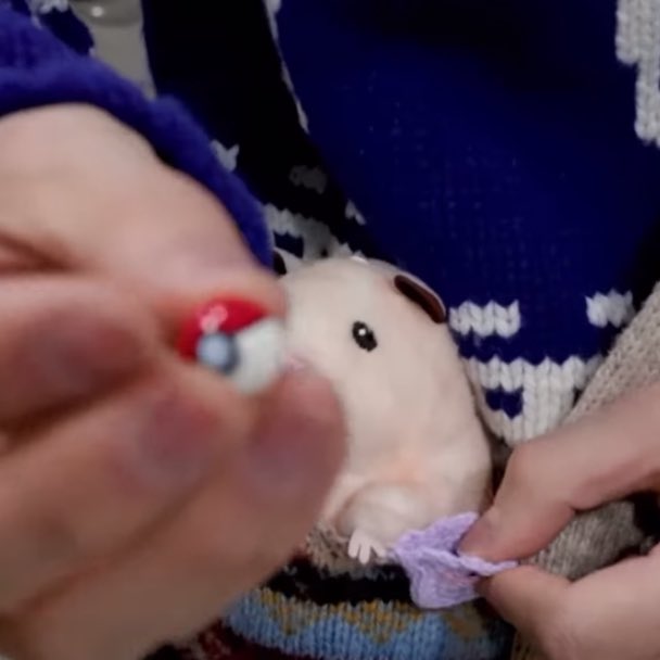 [잡담] 와 성한빈 메타몽 미니 가방 퀄리티 봐 ㄷ ㄷ | 인스티즈