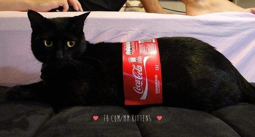 [잡담] 태산이 사진 올렸다 | 인스티즈