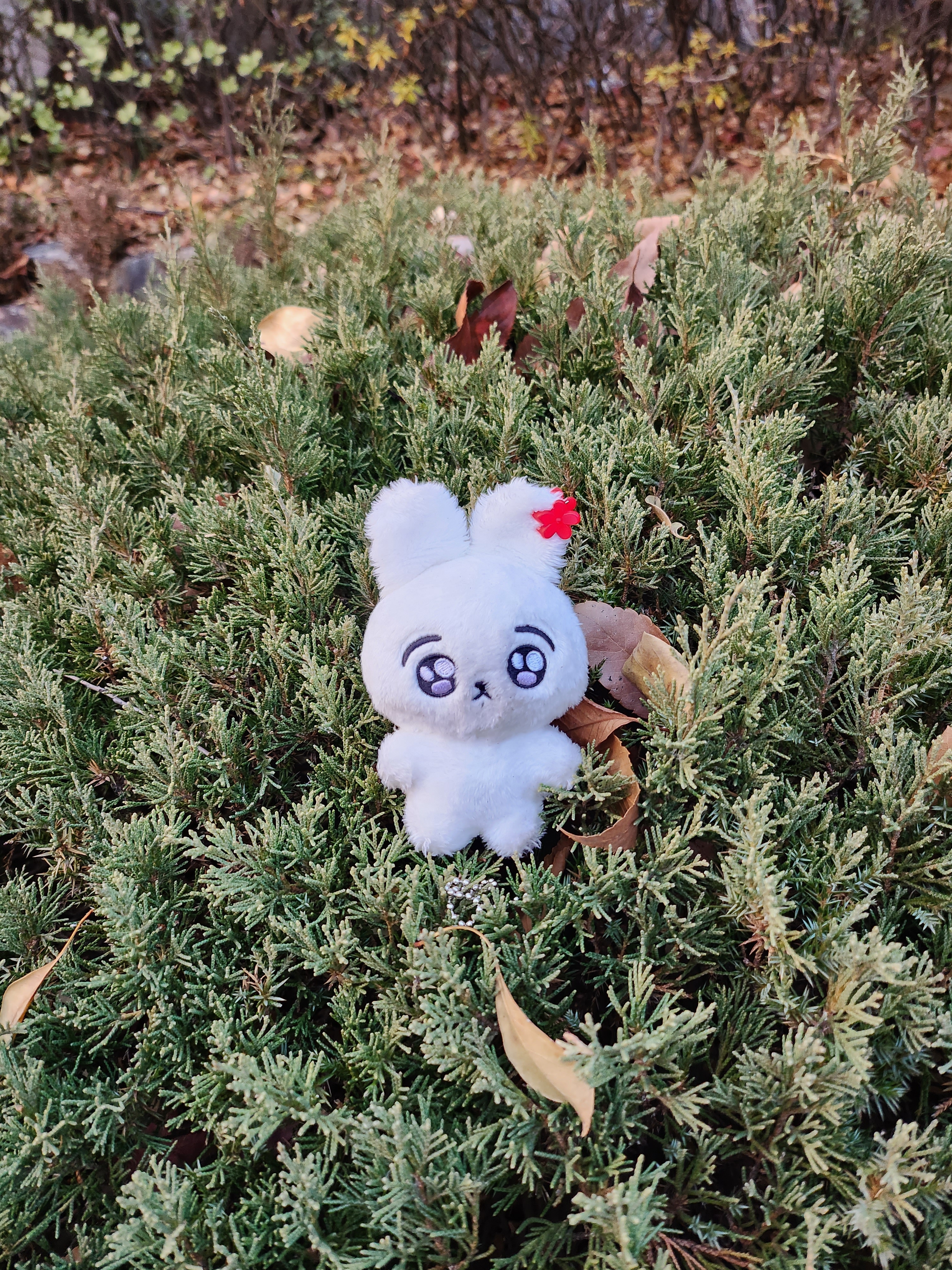 [잡담] 이거 정국 인형인가? 뭔가 익숙한데 | 인스티즈