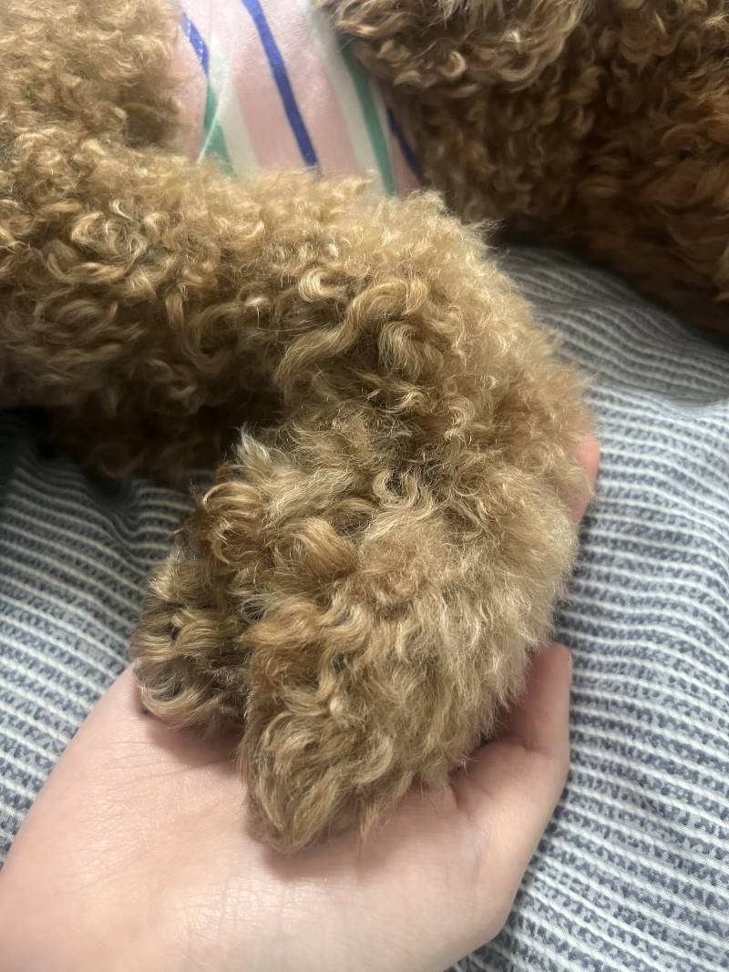 [잡담] 행복이 여기 내 손 안에 있다 | 인스티즈