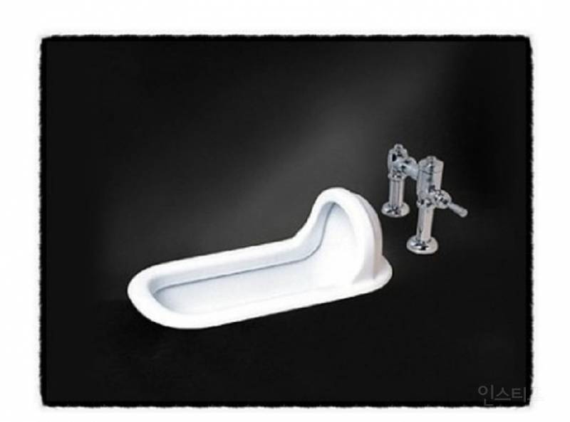 [잡담] 연봉 8천 주는 회사 합격했는데 화장실 변기가 이렇게 생겼다면 다닌다 vs 안 다닌다 | 인스티즈