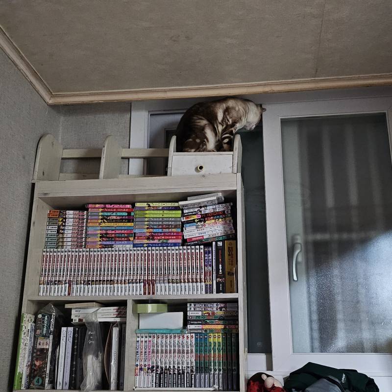 [잡담] 거기 올라가서 모해 | 인스티즈