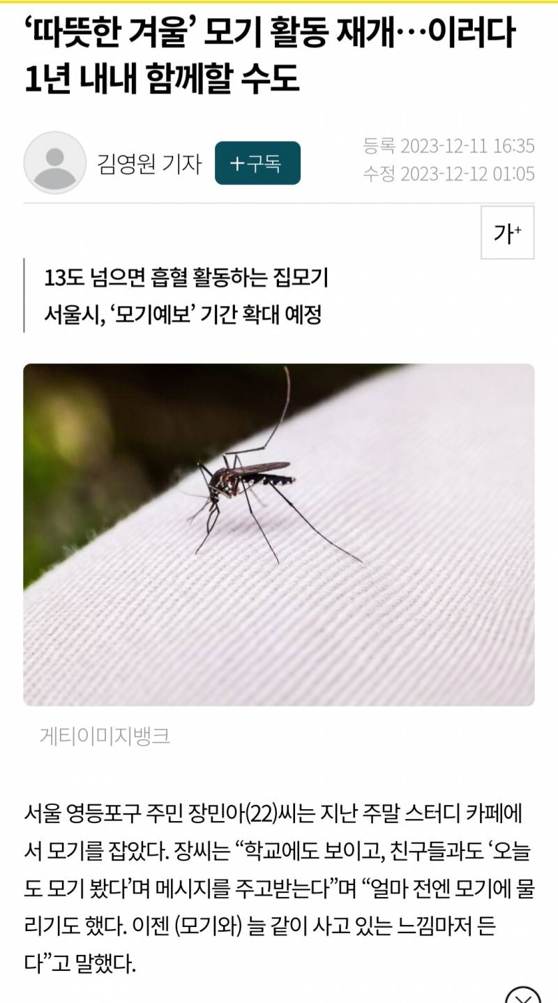 [벌레사진] '따뜻한 겨울' 모기 활동 재개…이러다 1년 내내 함께할 수도(혐오주의) | 인스티즈