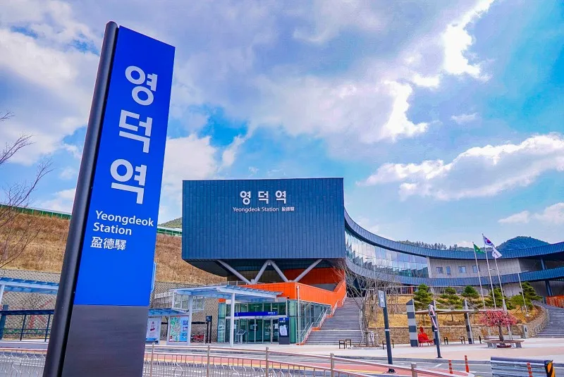 개통 5년만에 없어지는 기차 노선 (연말 예매 풀리는 날짜) | 인스티즈