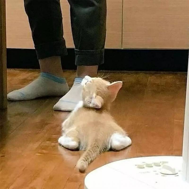 [잡담] 급해급해 갑작스럽게 혼밥하게됐는데 뭐먹을까💙 | 인스티즈