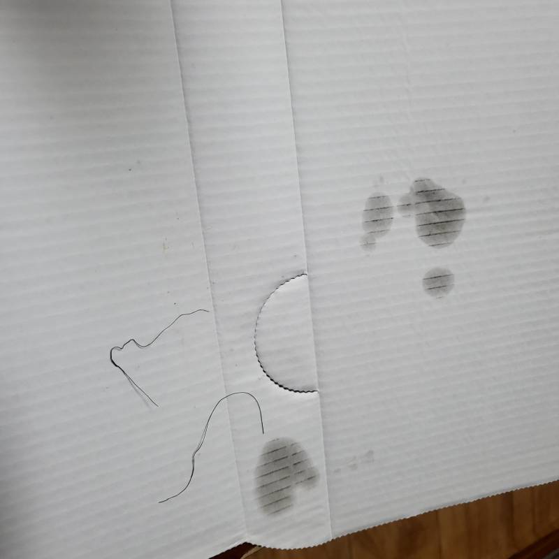 [잡담] 익들아 치킨먹다가 이런 머리카락 나왔으면 걍 무시하고 먹어? | 인스티즈