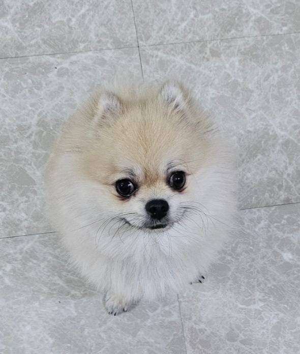 [잡담] 울아빠 5년만에 카톡 프사바꿈 - 인스티즈(instiz) 일상 카테고리