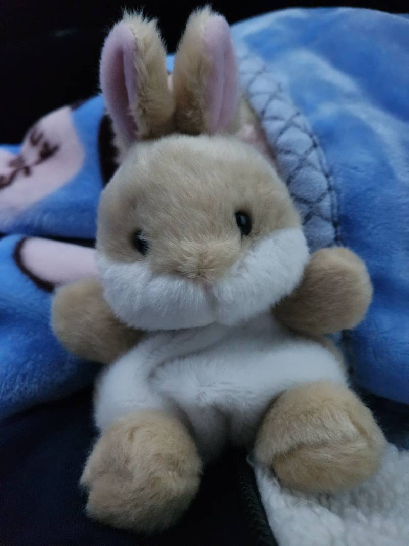 [잡담] 귀여운 거 좋아하는 익들아 5천원의 행복 알려줌 | 인스티즈