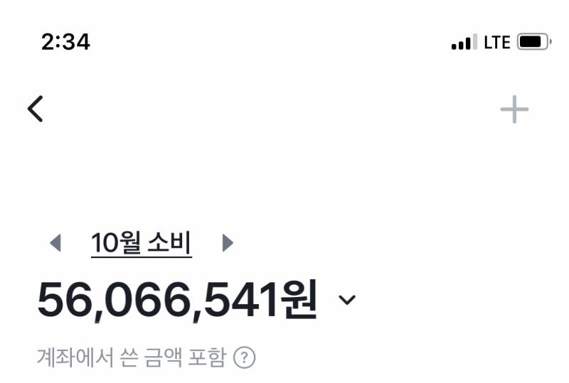 [잡담] 나 이번 달에 쓴 돈 봐봐 | 인스티즈