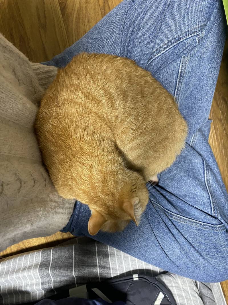 [잡담] 나 큰일났어..출근해야 되는데 | 인스티즈