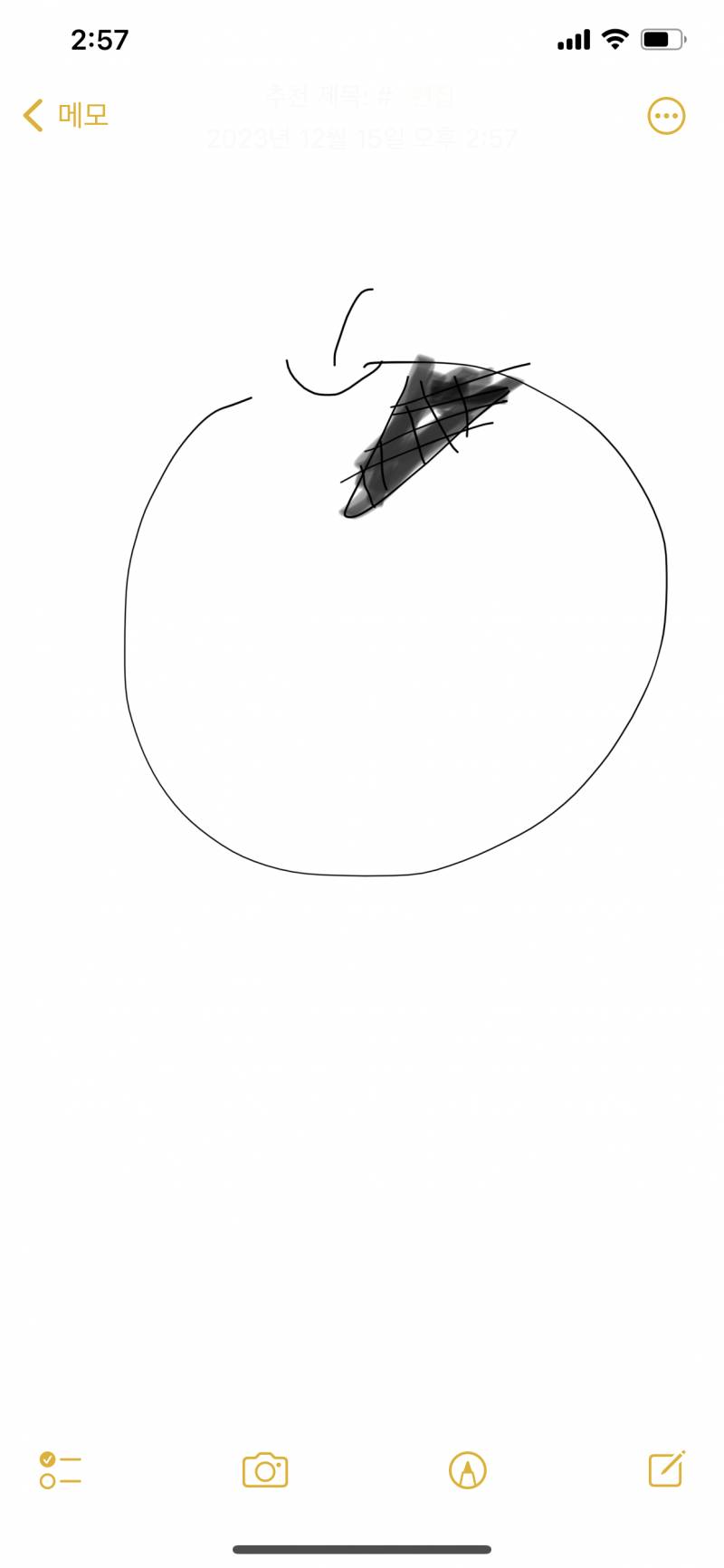 [잡담] 귤이랑 감자는 곰팡이 조금만 펴도 다 퍼진거라고 버리라고하잖아 | 인스티즈