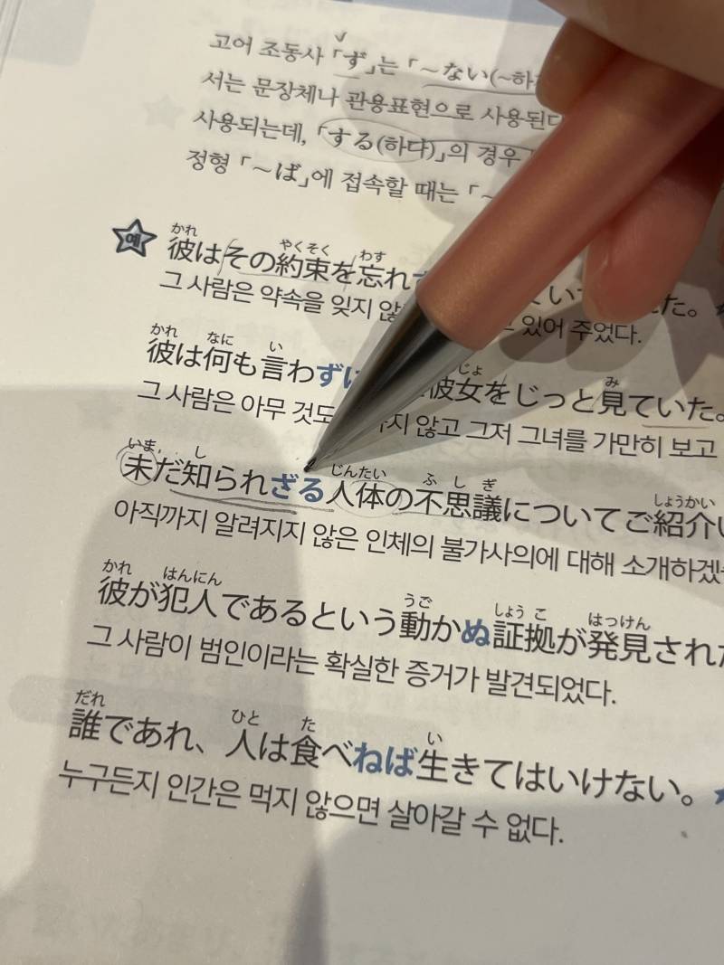 [잡담] 일본어 문법 잘 아는익 있어? | 인스티즈