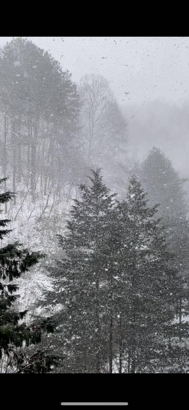 [잡담] 여기 어디같아 | 인스티즈