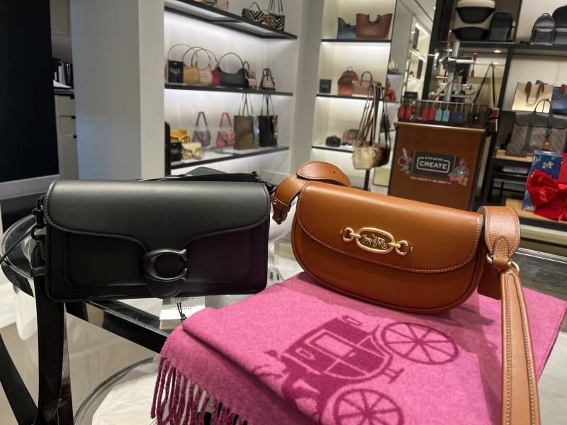 [잡담] 코치 가방 골라주는 익들에게 크리스마스의 행운이…🎄🕊️ | 인스티즈