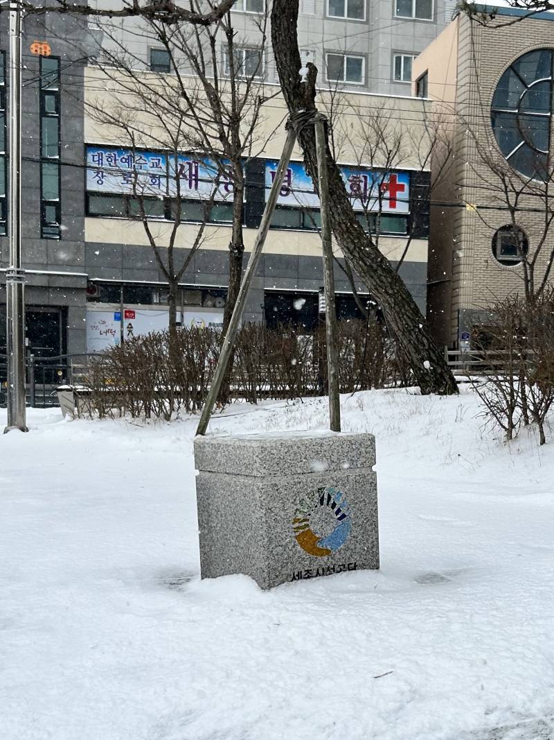 이번에도 어김없이 찾아 온 눈사람 발로차는 빌런 | 인스티즈