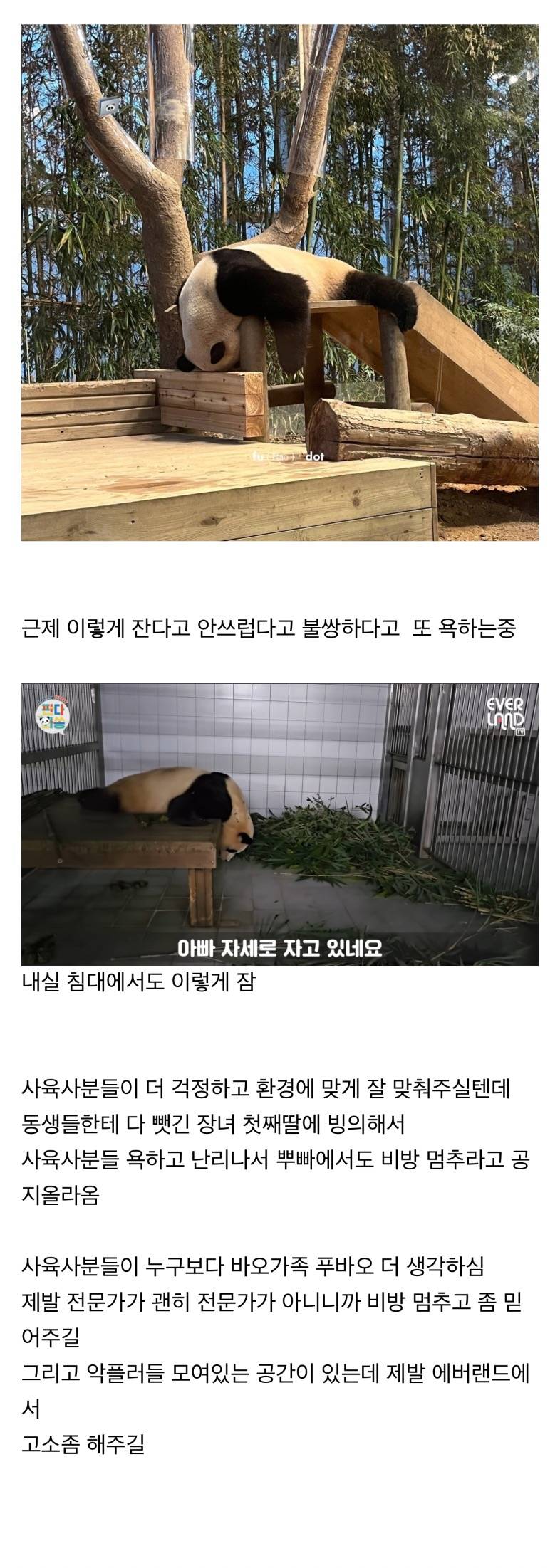 현재 에버랜드가 푸바오 사육사 악플로 난리난 이유.JPG | 인스티즈