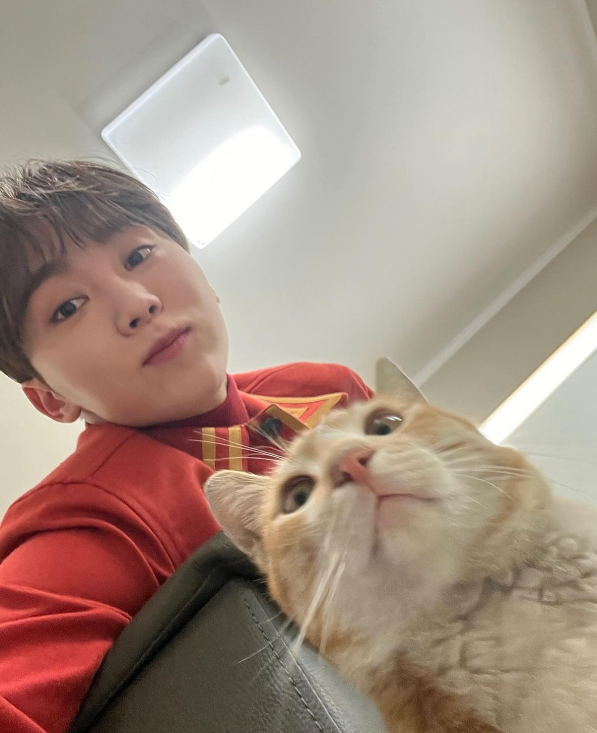 [잡담] 나 결심했어 2024년에는 승관이 고양이파 하기로 | 인스티즈