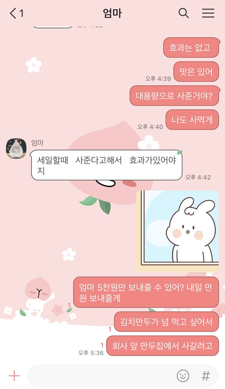 잡담 월급날 전에 그지인 내가 엄마에게 김치만두 사달라고 한다 인스티즈instiz 일상 카테고리 4180