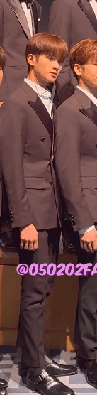 [잡담] 여우상 좋아한다면 | 인스티즈