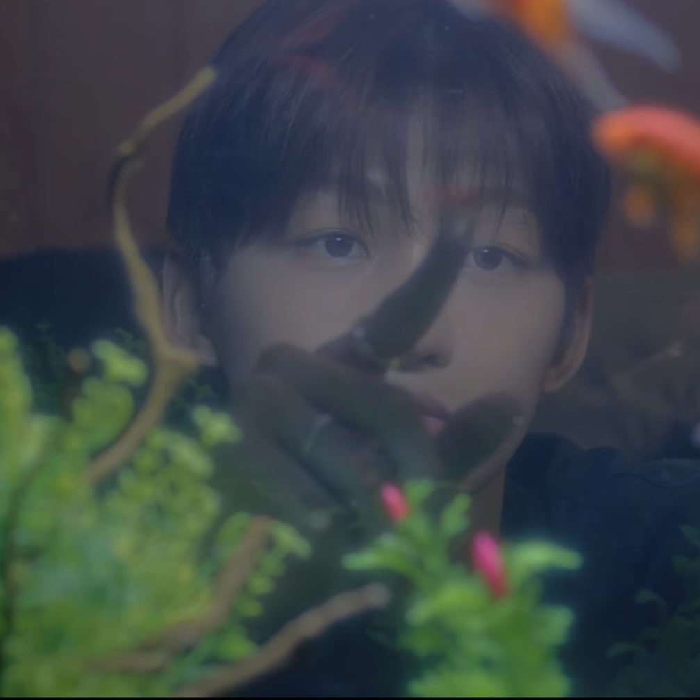 [잡담] 하 아직도 지훈이 투어스로 데뷔 하는게 믿기지 않다 | 인스티즈