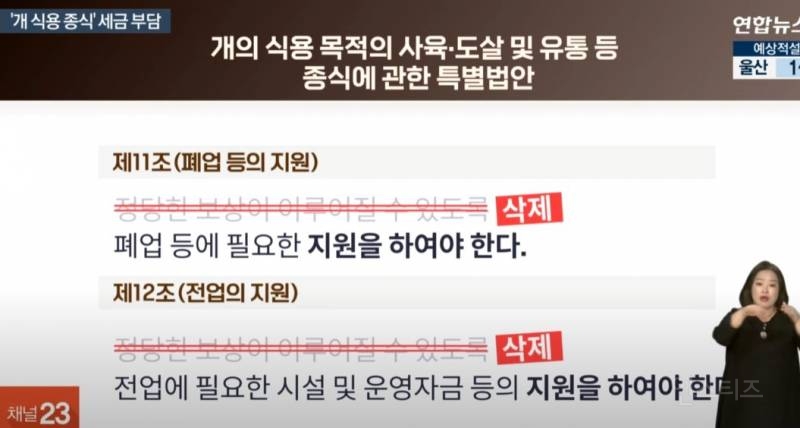 (개식용금지) 실시간 로또 터진 개고기 판매상들...ㄹㅇ | 인스티즈