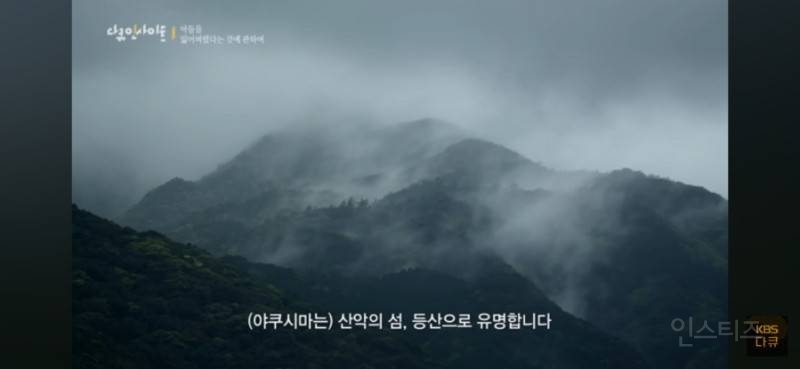 '원령공주'의 배경인 일본 야쿠섬에서 벌어진 한국인 실종사건 (김성진씨 실종사건) | 인스티즈