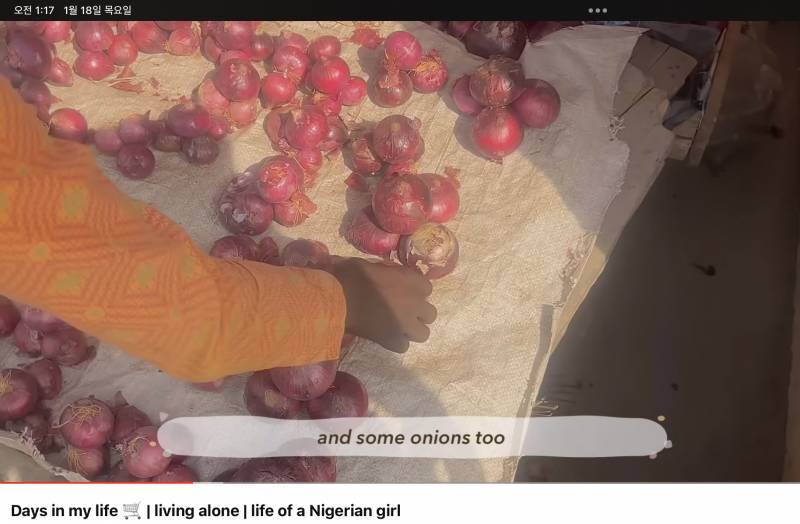 [잡담] 나 브이로그 보는거 중독 된듯 하다하다 나이지리아 브이로그도 보는중ㅋㅋㅋㅋ큐ㅠㅠㅠㅠㅠ | 인스티즈