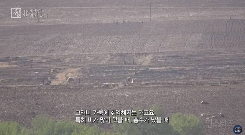 북한에 나무가 없는 이유 | 인스티즈