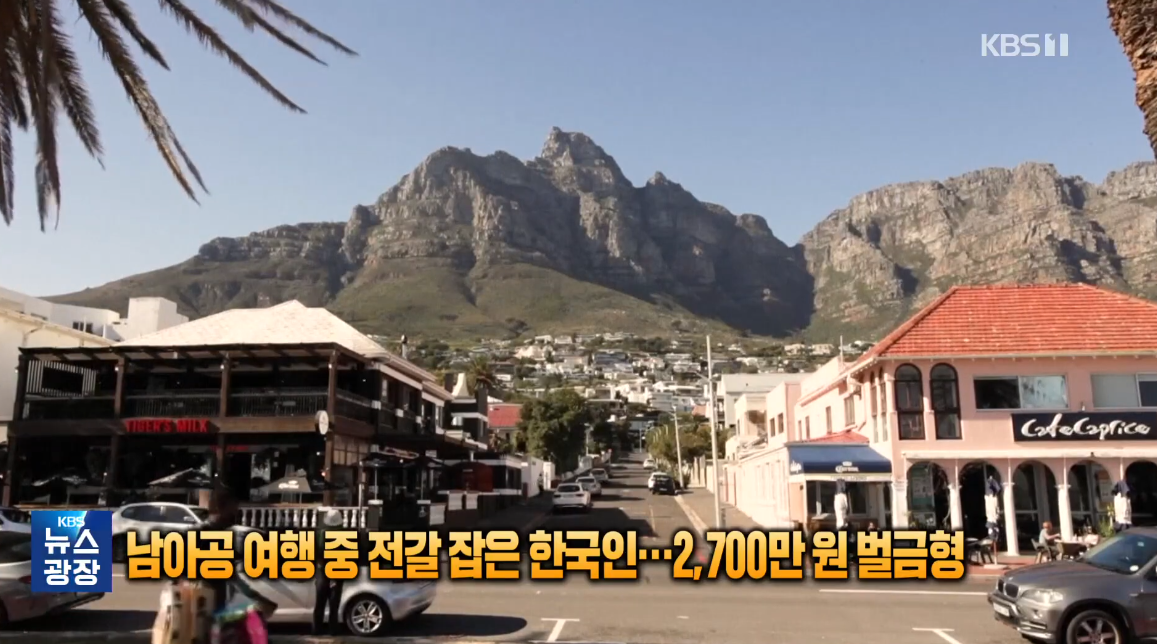 남아공 여행 중 전갈잡은 한국인…현지서 2700만 원 벌금형 | 인스티즈
