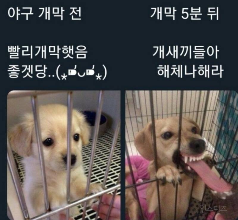 야구팬이라면 공감할 수 밖에 없는 짤.jpg | 인스티즈