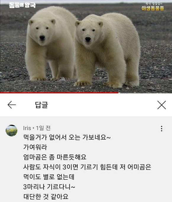 [잡담] 유튜브 볼때 이런 중년여자 댓글 말투왤케 좋지 | 인스티즈