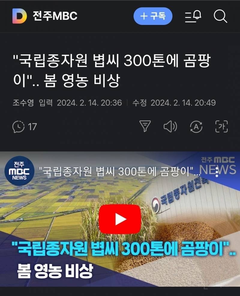 "국립종자원 볍씨 300톤에 곰팡이".. 봄 영농 비상 | 인스티즈