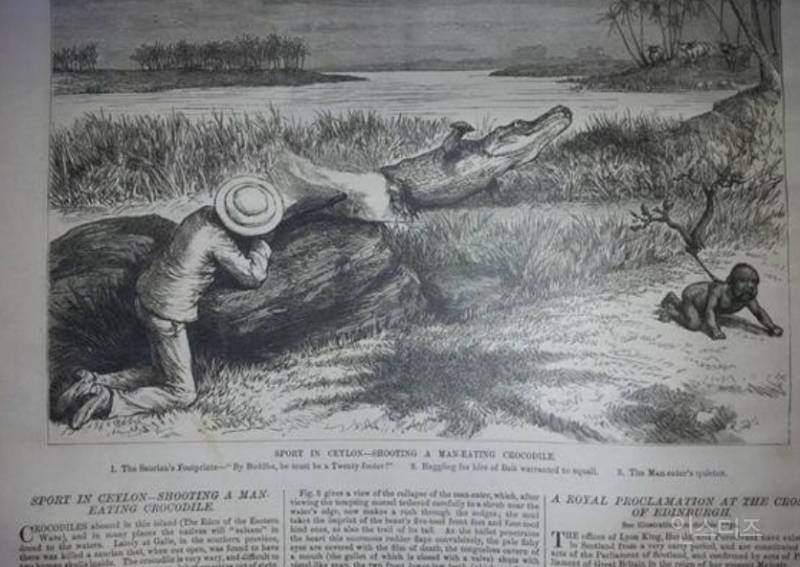 19세기 유럽인들의 악어 사냥법 | 인스티즈