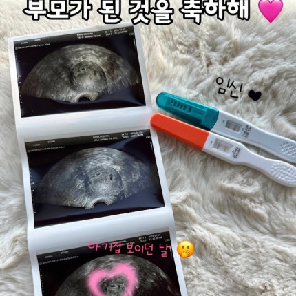 [정보/소식] 박수홍♥김다예, 부모 된다…"임신 3개월 차" [전문] | 인스티즈
