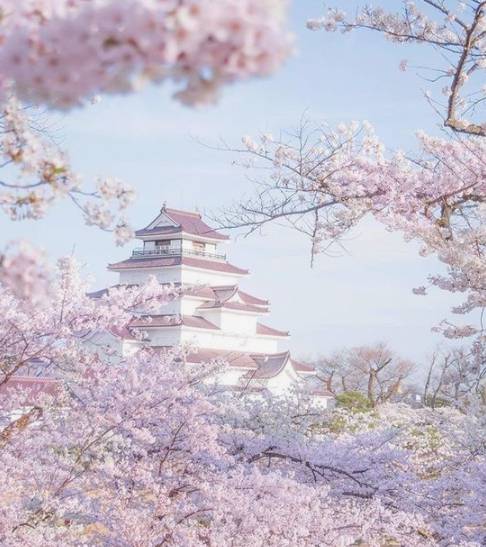 [정보/소식] 4월 후쿠오카 벚꽃여행 호텔 반값 할인 | 인스티즈