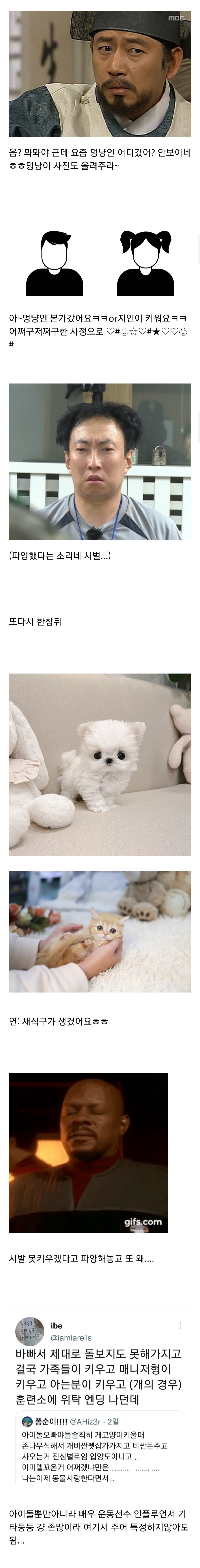 [마플] 연예인 강아지 관련글은 이게 제일 공감이감 | 인스티즈