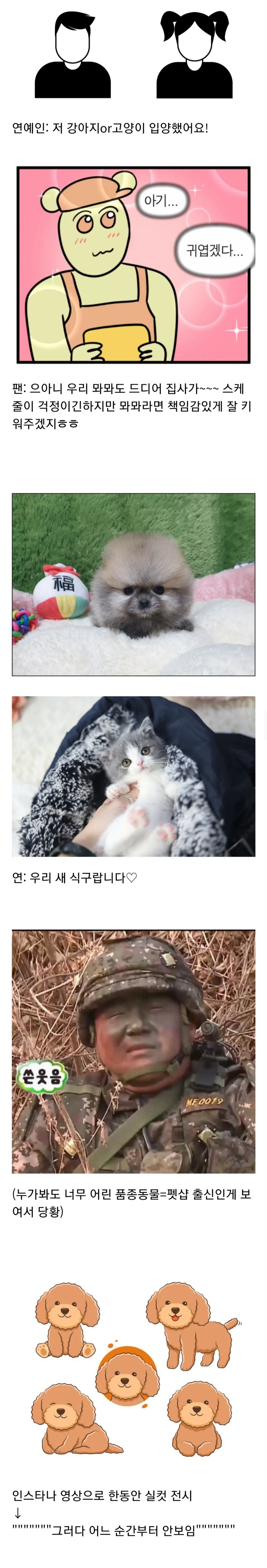 [마플] 연예인 강아지 관련글은 이게 제일 공감이감 | 인스티즈