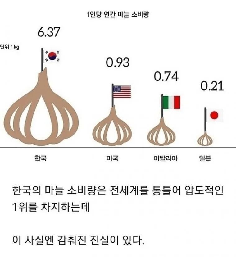 한국 마늘 소비량 1위의 진실 | 인스티즈