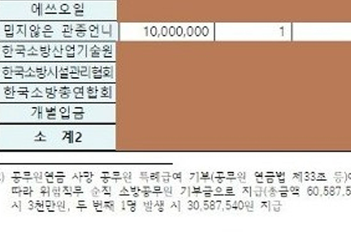 [정보/소식] 순직소방관 유족지원금으로 천만원 기부한 이지혜 | 인스티즈