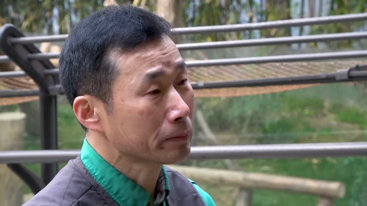 [정보/소식] 강바오가 중국 사육사에게 보내는 영상편지 (오열주의) | 인스티즈