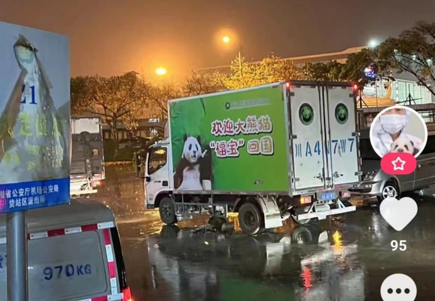 [정보/소식] 중국측에서 청두까지 푸바오 운송하려고 가져온 트럭 | 인스티즈
