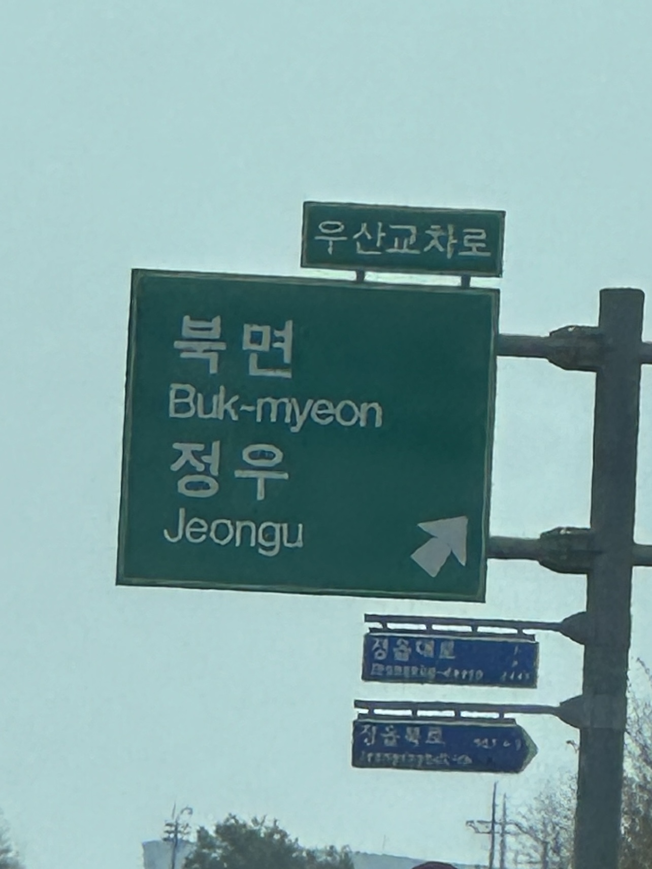 [잡담] 오늘 가족끼리 벚꽃 보러가는 길에 본 정우 - 인스티즈(instiz) 연예 카테고리