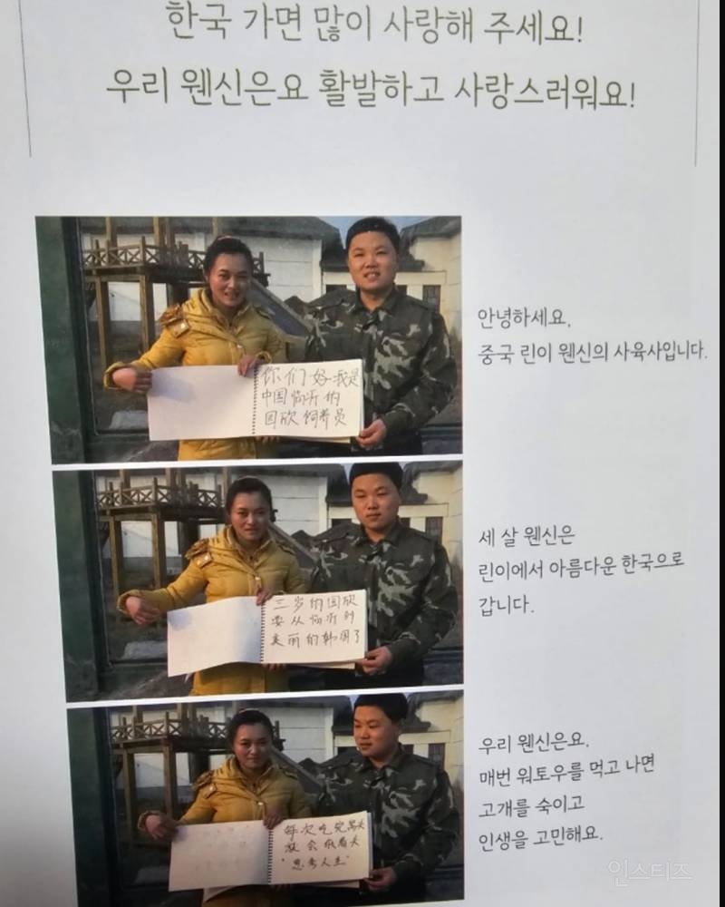 [잡담] 러바오 한국 올 때, 한국인들에게 중국 사육사가 보낸 편지 | 인스티즈