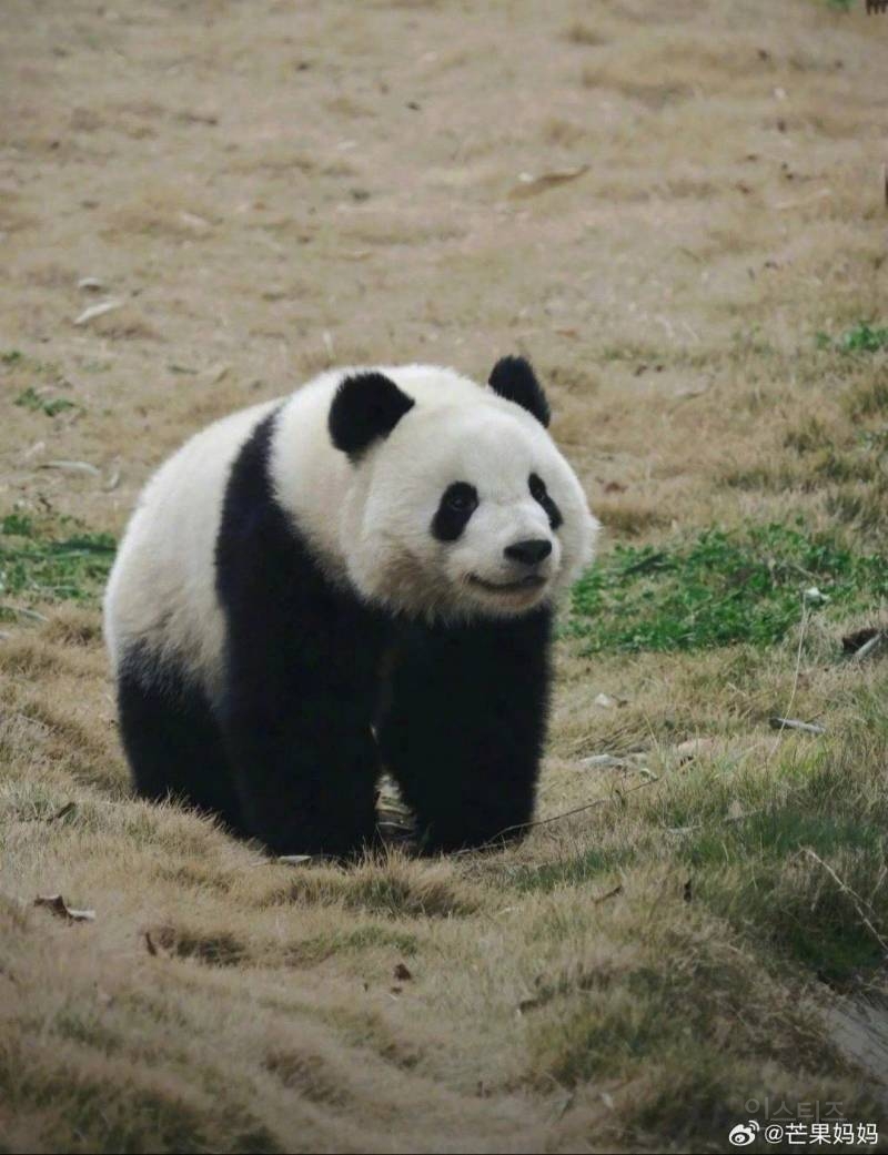 🐼😄° û Ϳ Ǵٷ  õ😄🐼 | νƼ