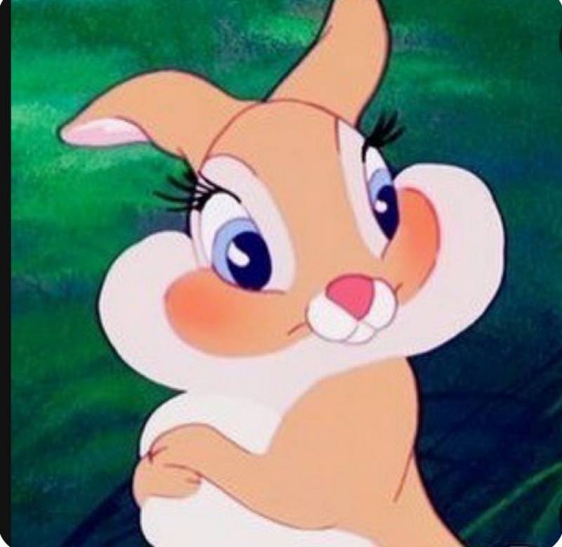 [잡담] 디즈니 토끼 너무 귀여워,, | 인스티즈